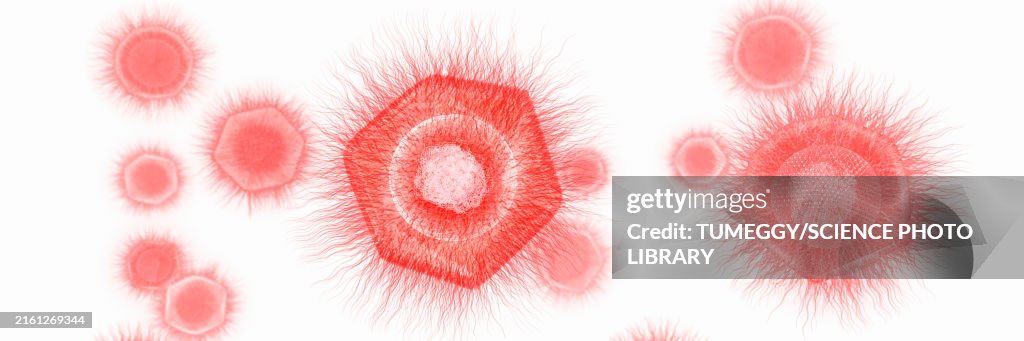 Giant virus structure, illustration