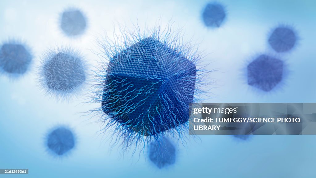 Giant virus structure, illustration