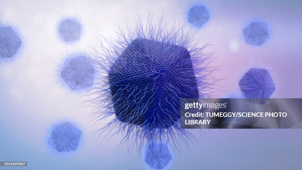 Giant virus structure, illustration
