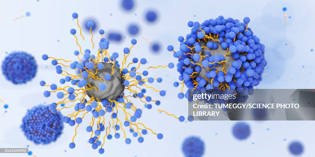 Soap molecules capturing dirt within micelles, illustration