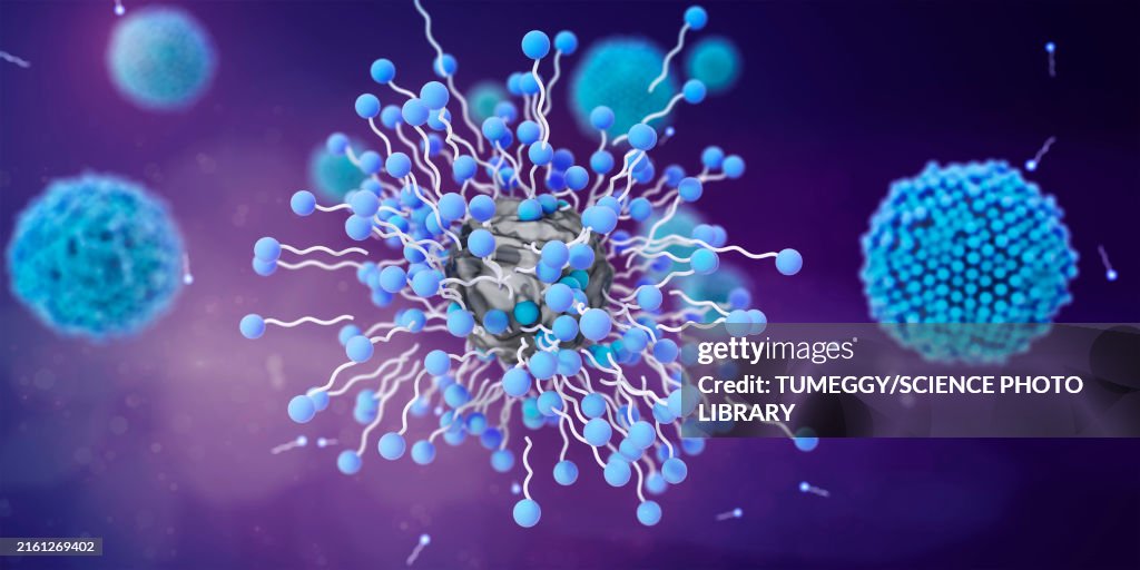 Soap molecules capturing dirt within micelles, illustration