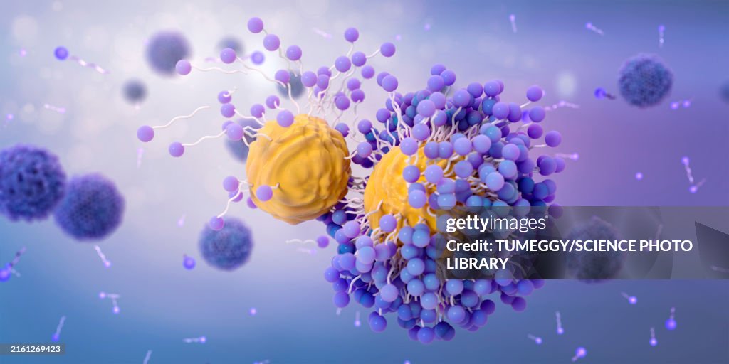 Soap molecules capturing dirt within micelles, illustration