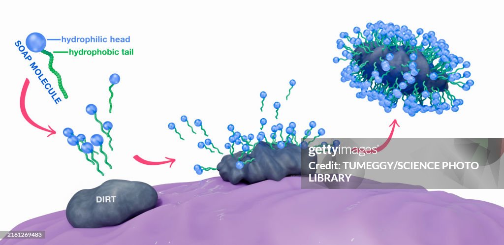 Soap molecules capturing dirt within micelles, illustration