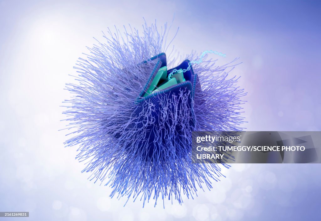 Giant virus particle releasing DNA, illustration