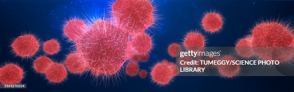 Giant virus particles, illustration