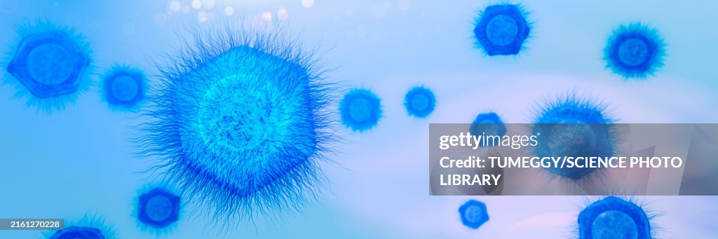 Giant virus particles, illustration