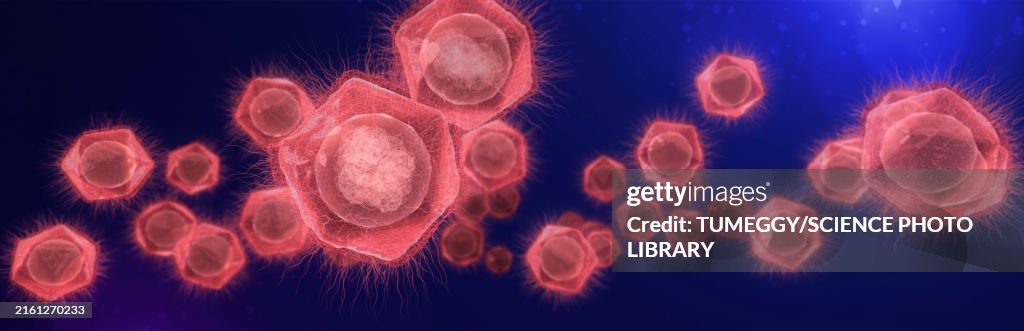 Giant virus particles, illustration