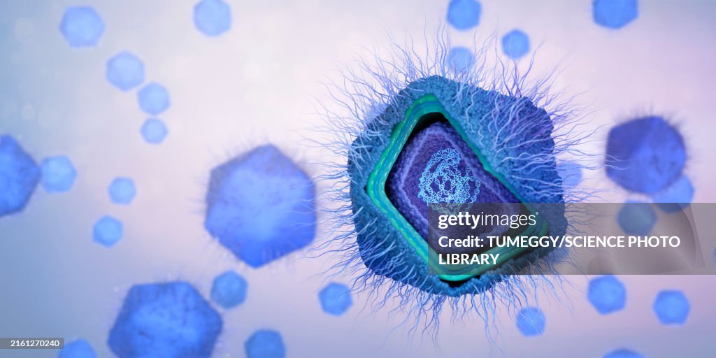 Giant virus particles, illustration