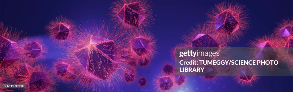 Giant virus particles, illustration