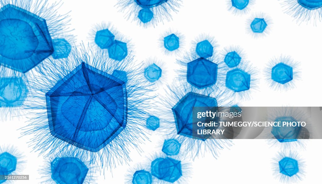 Giant virus particles, illustration