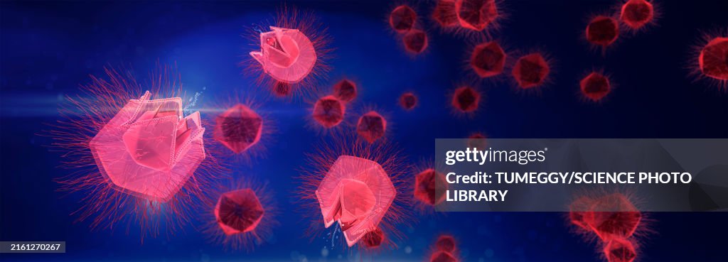 Giant virus particles releasing DNA, illustration