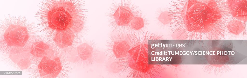 Giant virus particles, illustration