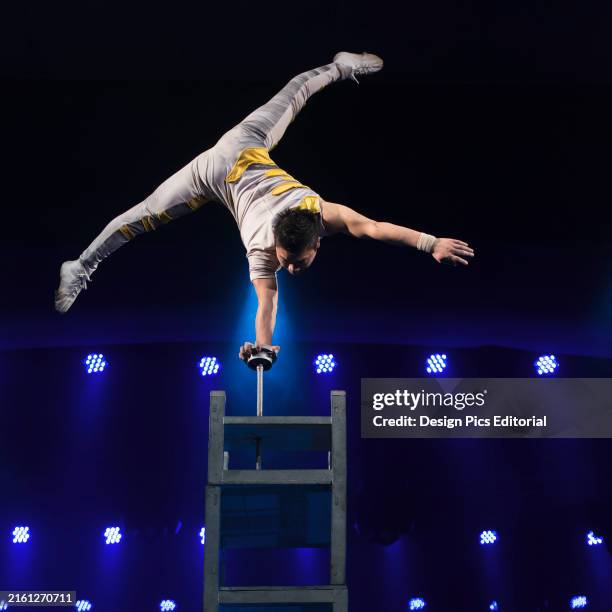 High Risk Acrobats 2,605 Acrobat Costume Stock Photos, High-Res Pictures, and Images ...