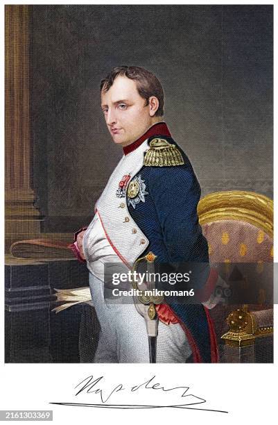 portrait of the napoleon i bonaparte, emperor of the french - napoleon stock-fotos und bilder