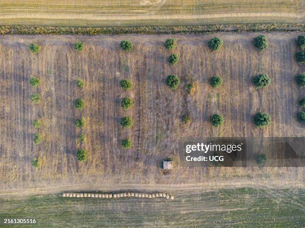 Farning Plot 2,122 Farming Plots Stock Photos, High-Res Pictures, and Images - Getty ...