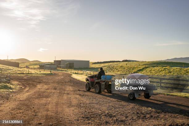 granjero lechero de nueva zelanda - remolcar fotografías e imágenes de stock