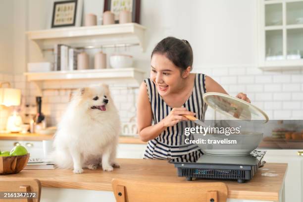 freschezza sorridente asiatico teen donna femmina sessione culinaria collaborare con il suo pomeranien bianco lap dog in cucina con felicità buona vibrazione donna che cucina mentre accarezza il suo cane in cucina casa interno - pet food foto e immagini stock