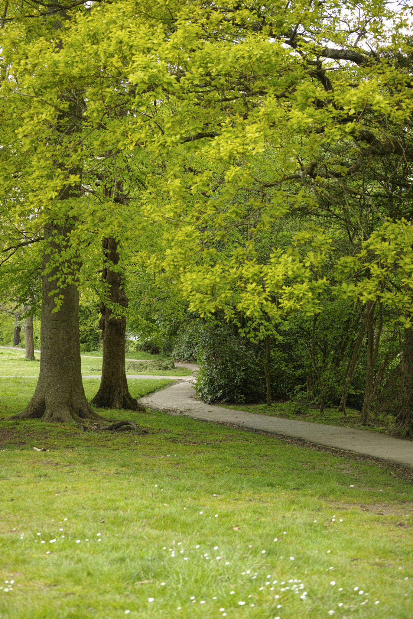 Barnet community