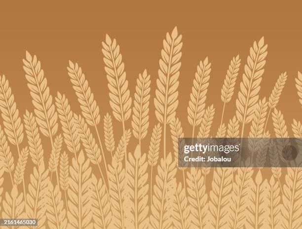 ilustrações de stock, clip art, desenhos animados e ícones de wheat field agriculture golden horizontal seamless background - palha