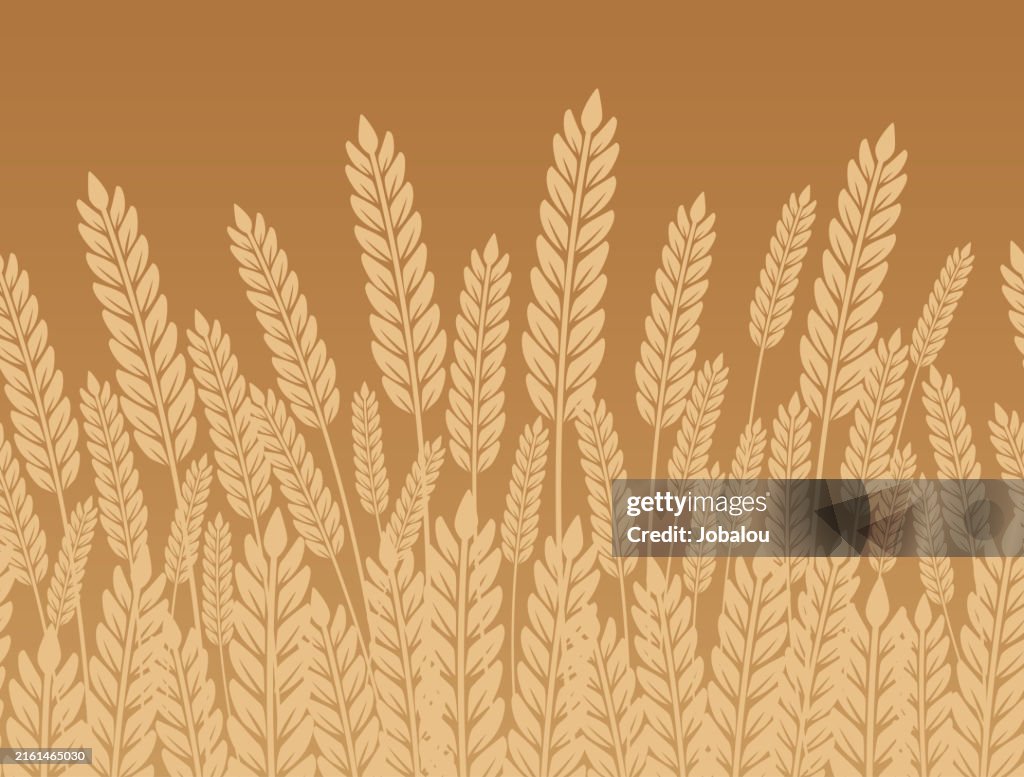 Wheat Field Agriculture Golden Horizontal Seamless Background