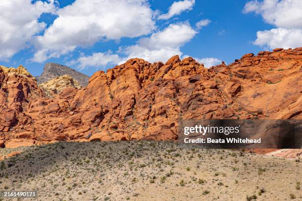 Red Fall Desert 7,101 Red Desert Stock Photos, High-Res Pictures, and Images - Getty Images