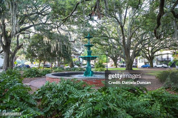 lafayette square in savannah - lafayette square georgia stock pictures, royalty-free photos & images