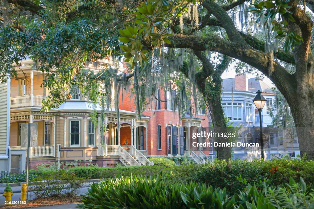 Charming Savannah