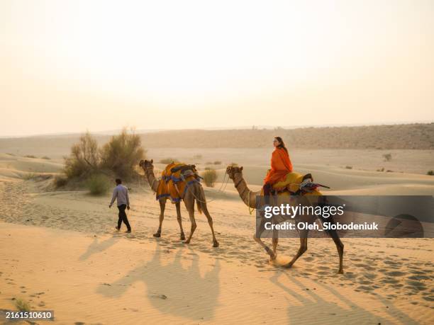 woman on camel in the desert at sunset - jaisalmer fort stock pictures, royalty-free photos & images