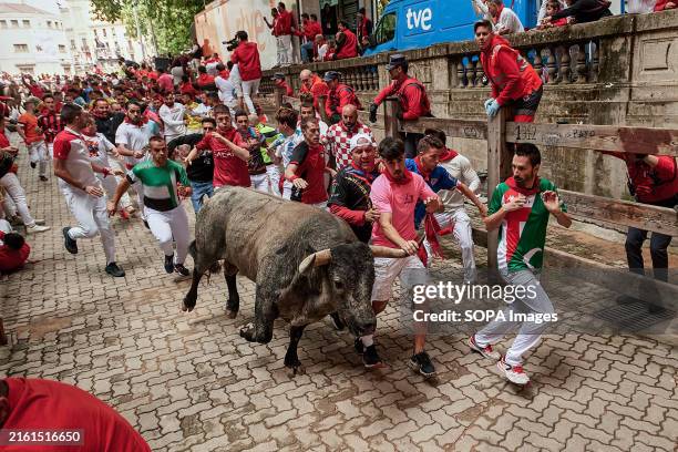 Several young men run in front of a bull during the running of the bulls during the San Fermín 2024 festivities. The festival of San Fermín is a...