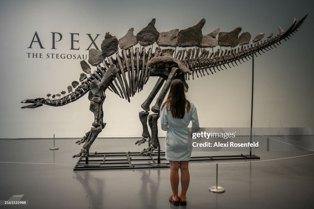 Sotheby's Geek Week Sales