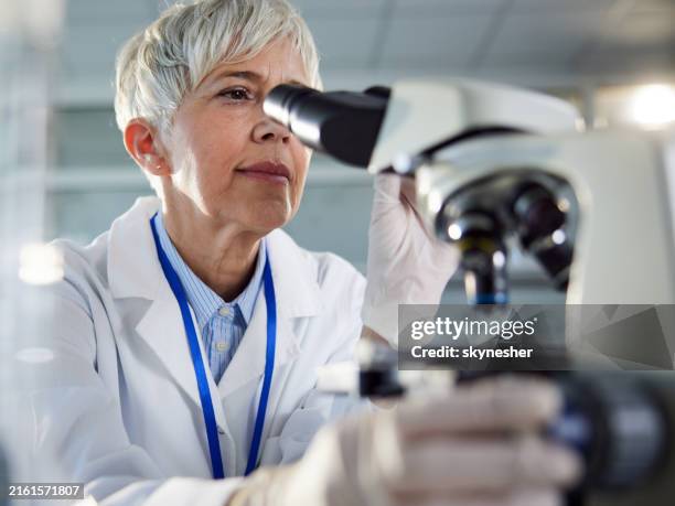 senior female scientist working on a research through a microscope in laboratory. - looking through an object stock pictures, royalty-free photos & images
