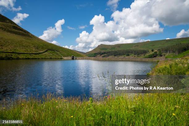 Greenfields England 110 Greenfield Reservoir Stock Photos, High-Res Pictures, and Images ...