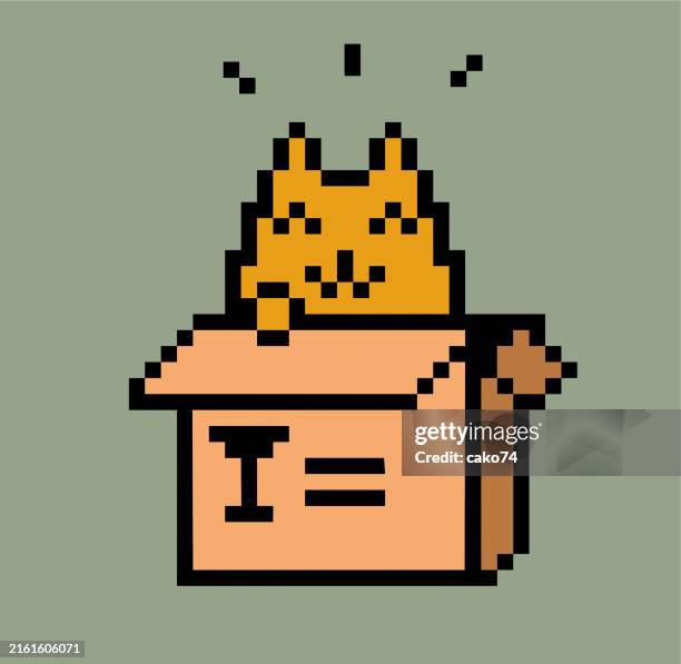 cat in cardboard box pixel style - carton box stock illustrations