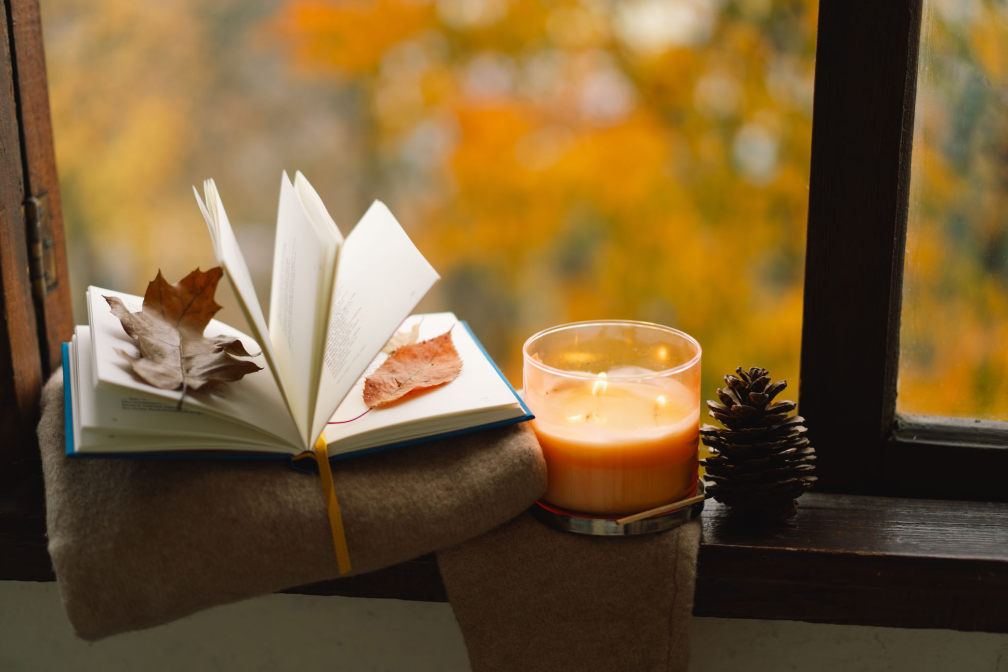 autumn leaves books