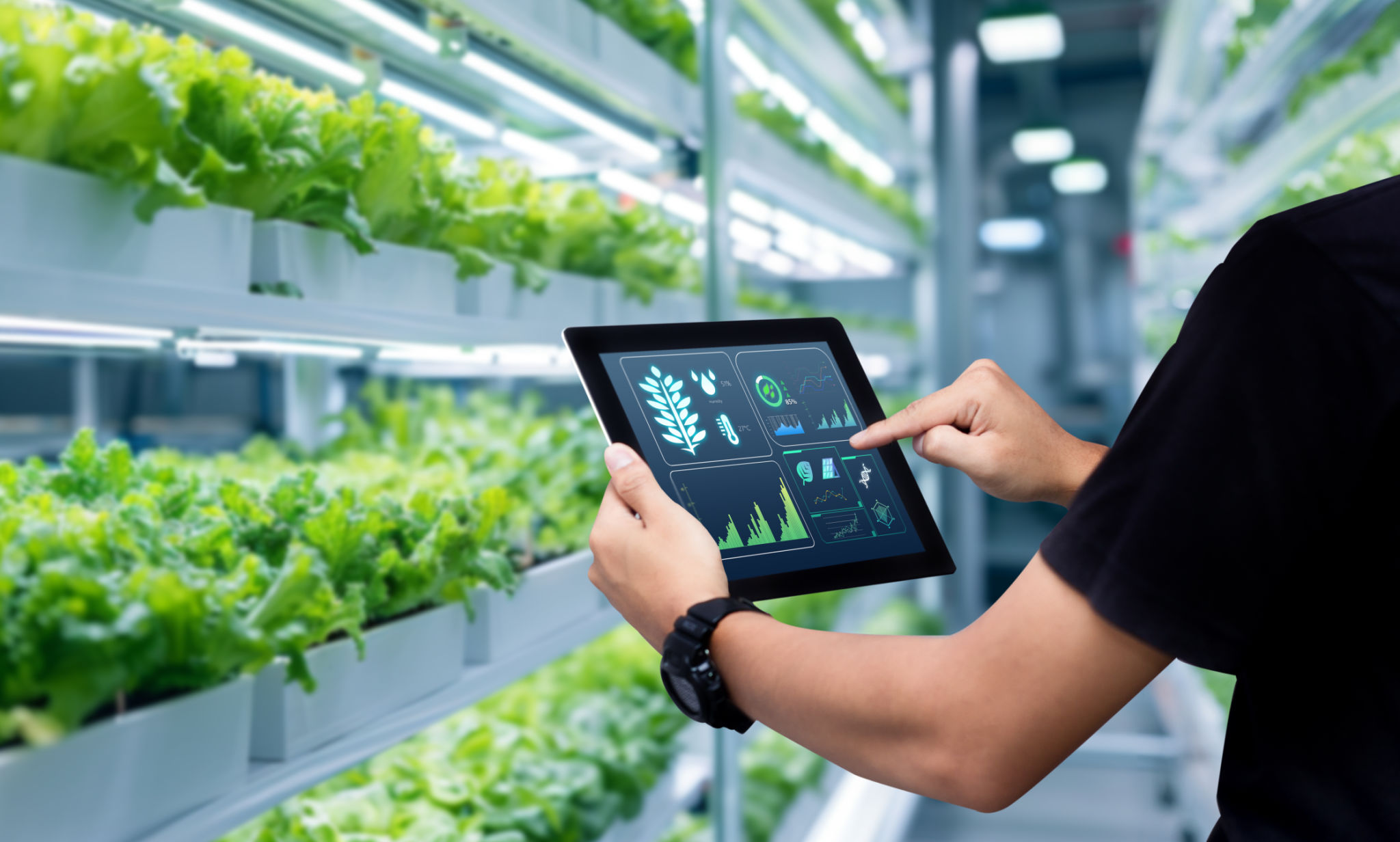 Smart farming argriculture concept. Smart farming argriculture concept.