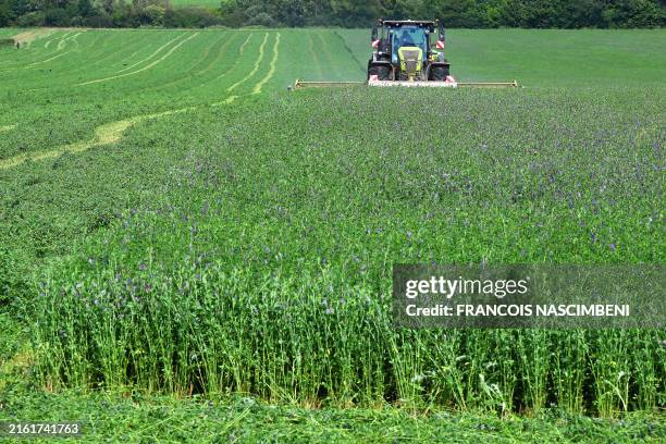 This photograph shows a harvester mows a field of alfalfa plants, also called "lucerne" during flowering near Champigneul in the Marne, northeast of...