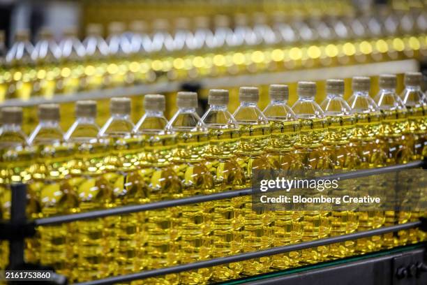 bottles of olive oil on a production line - cooking oil stock pictures, royalty-free photos & images