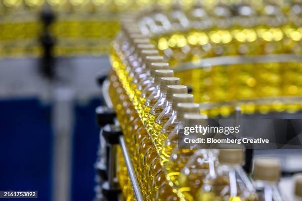 bottles of olive oil on a production line - cooking oil stock pictures, royalty-free photos & images