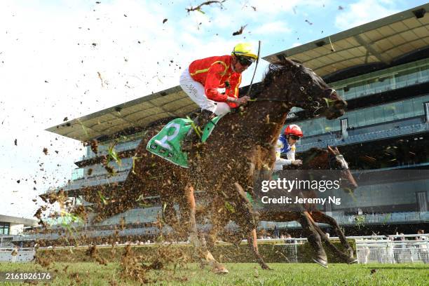 Sydney Races 43,605 Randwick Racecourse Photos & High Res Pictures - Getty Images