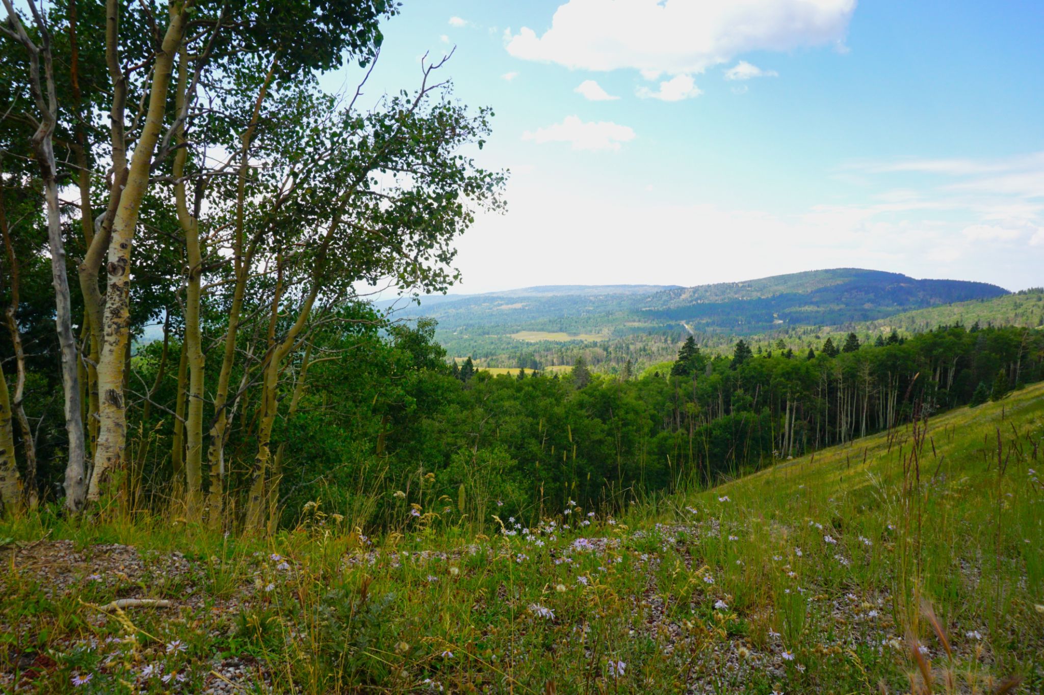 rio arriba county