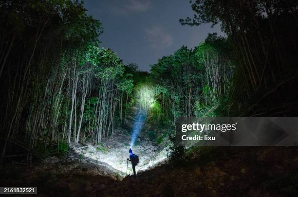 jungle hiking adventure lighting - wilderness stock pictures, royalty-free photos & images