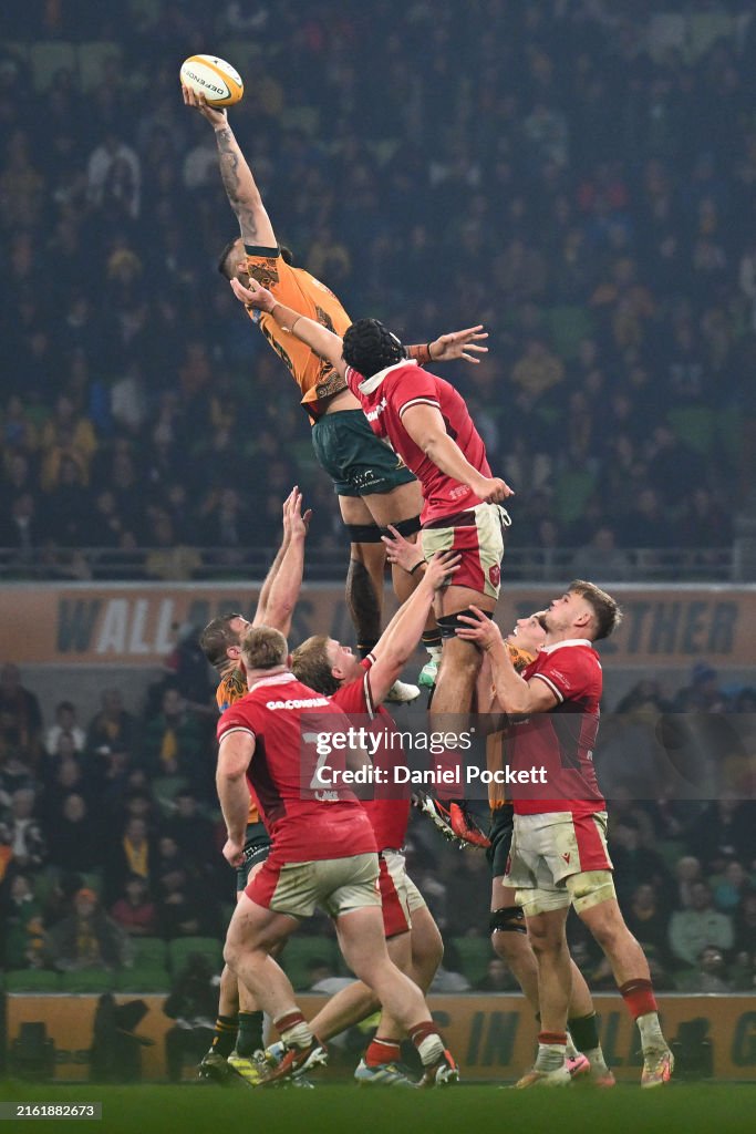 Australia v Wales