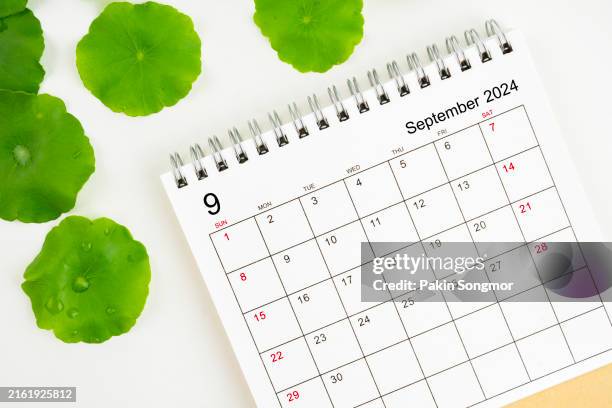 desk calendar 2024: september calendar is used to plan daily work and life with green leaves on white background. - setembro imagens e fotografias de stock