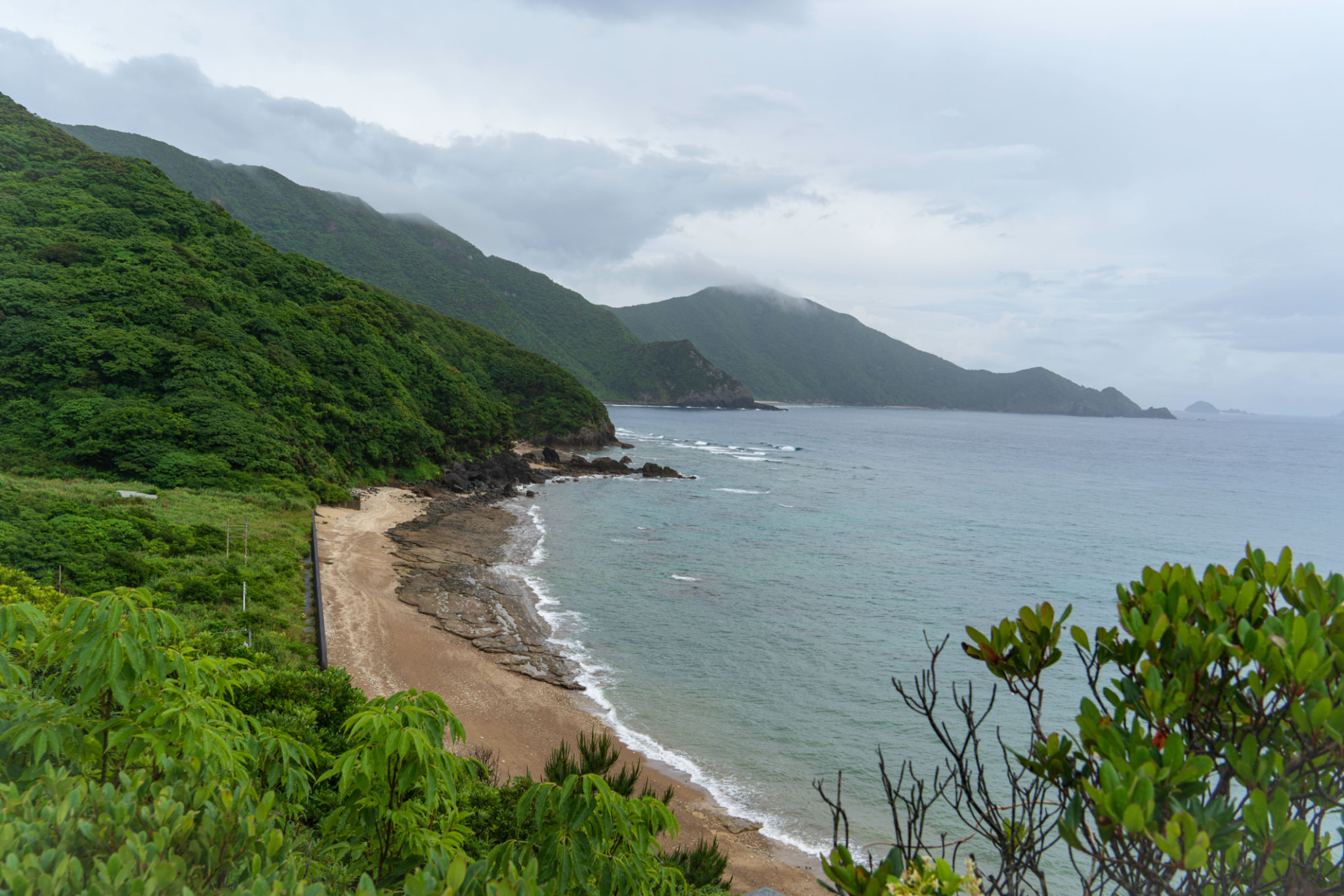 amami island