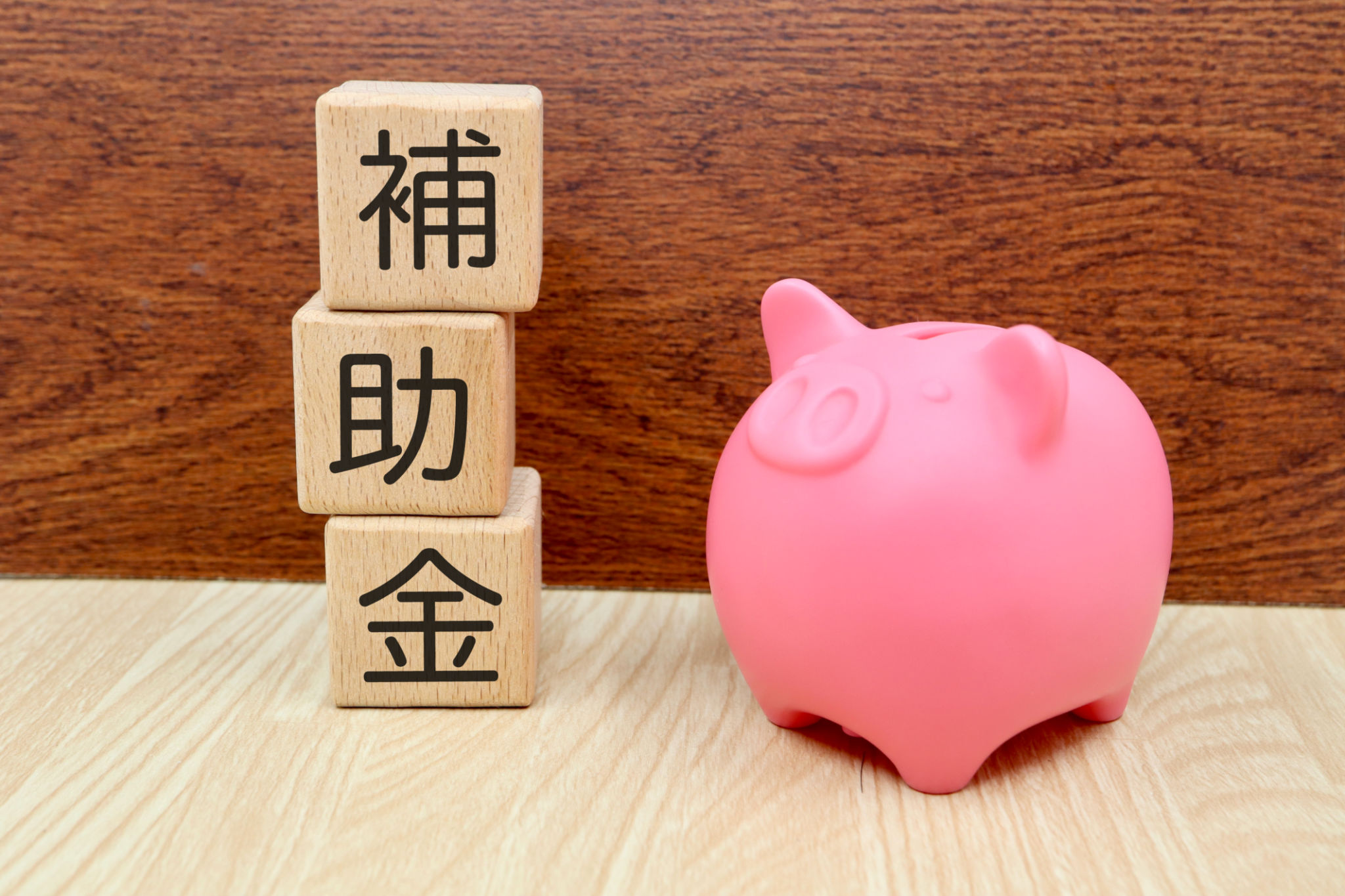 home renovation grant