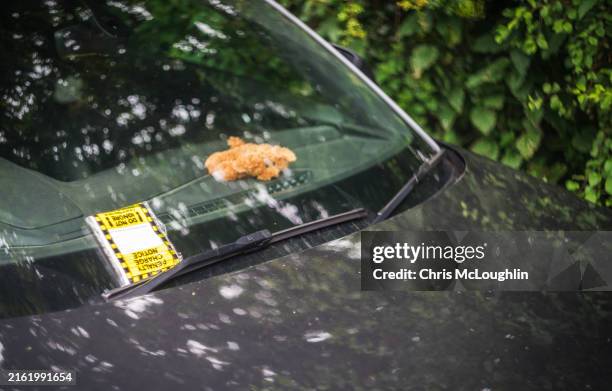 parking ticket - parkvergehen-strafzettel stock-fotos und bilder