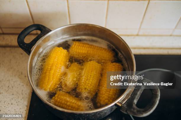 cooking boiled corn at home. a pot of corn stands on the stove at home - boiled stock pictures, royalty-free photos & images