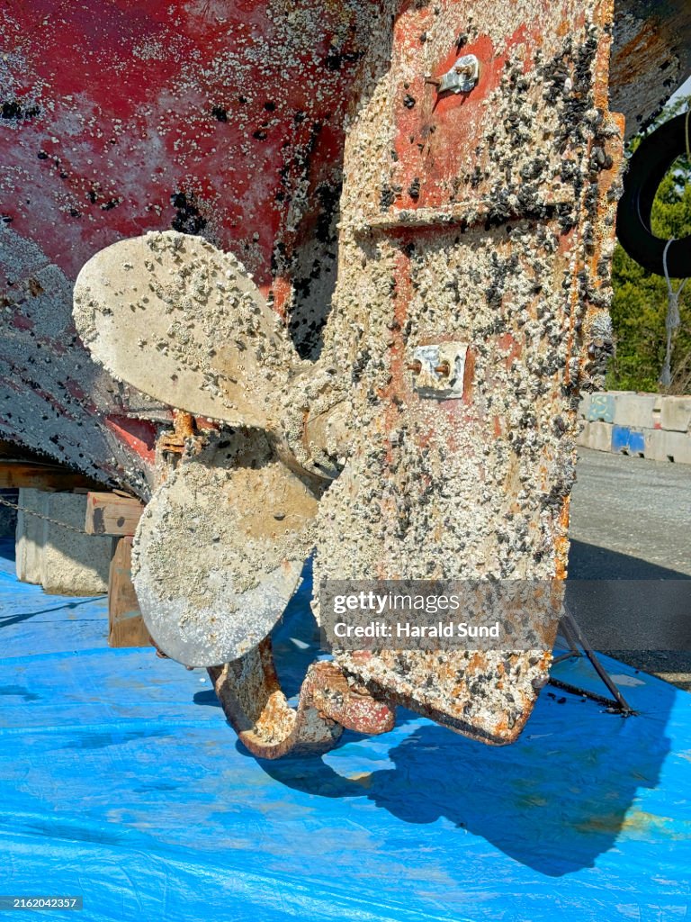 Close-up of a ship's barnacle encrusted propeller and rudder.