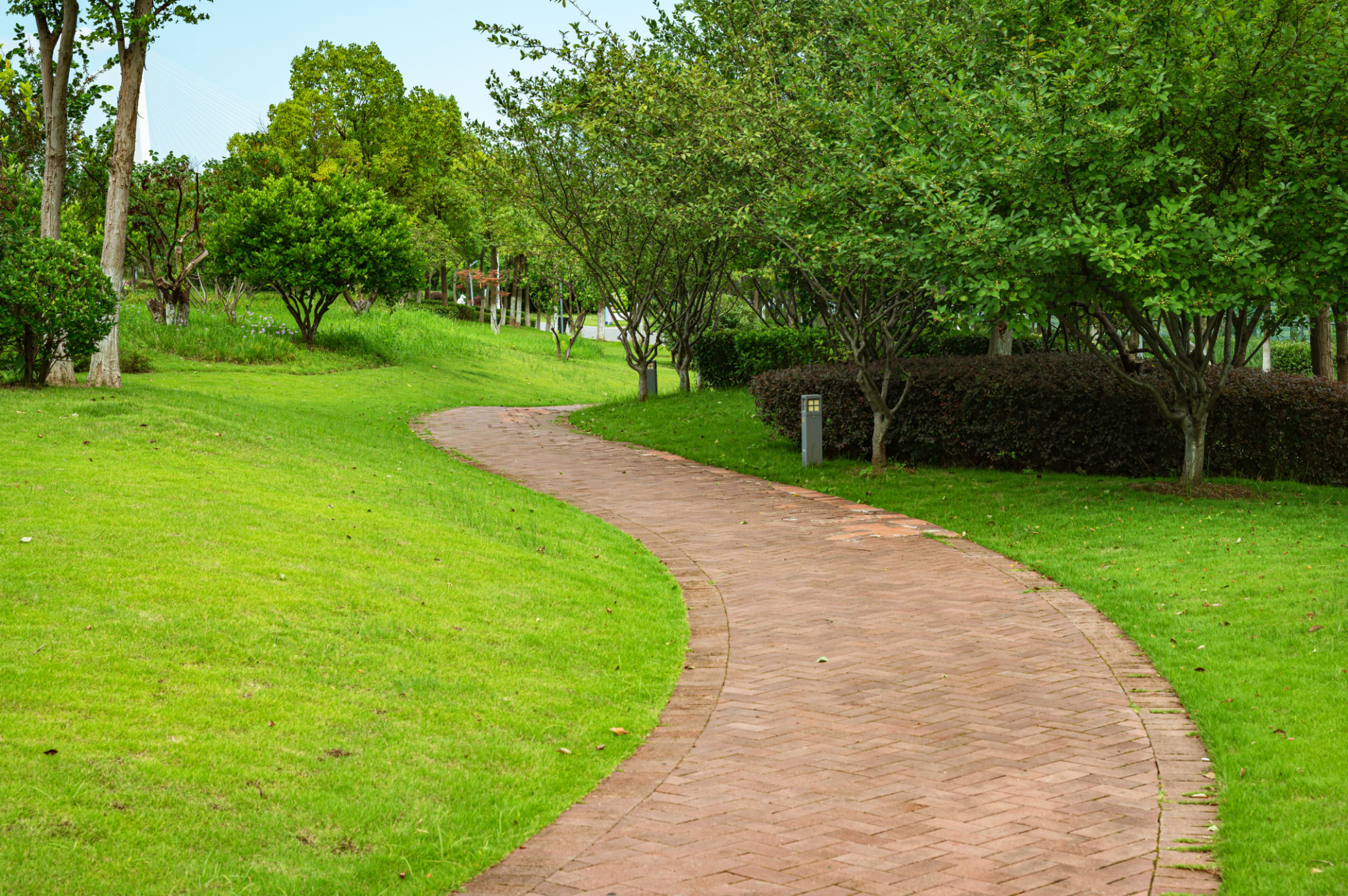 garden path