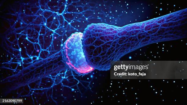 firing neurons - sistema nervoso central imagens e fotografias de stock